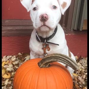 Meet your Posher, Marcus